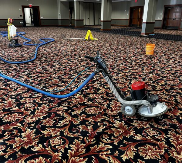 Compañías de limpieza: limpieza de casas, limpieza de alfombras en Houston Texas